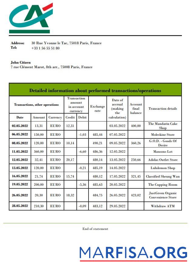 Downloadable France Credite Agricole bank statement word real example